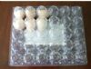 clear plastic egg tray for egg packaging